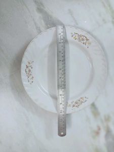 Vintage Dinner Plates (Set of 4)