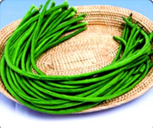 Purple And Green Yard Long Bean
