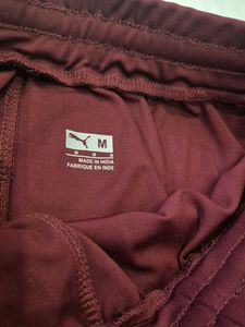 Puma Maroon Shorts