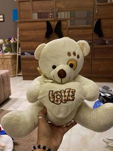 Cute Teddy Bear with 'Love' Heart