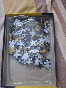 Wild Brown Bear Puzzle