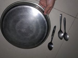 Steel Plate For Dinner