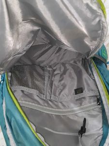 Skybags Backpack