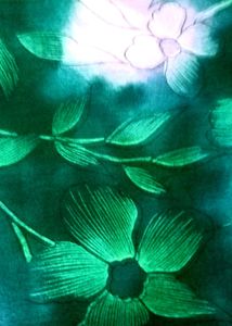 Printed Sari.