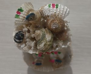 Showcase Furniture- Birds In Nests