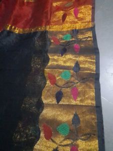 Beautiful Black Sare