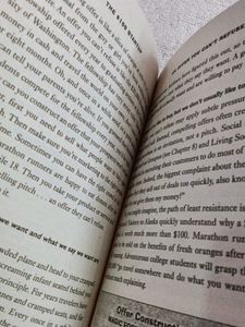 The $100 Startup Book by Chris Guillebeau