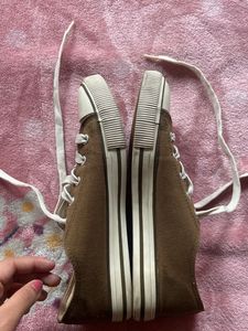 Cute Olive Casual Shoes- Brand new - Converse