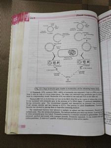 Companion Biology Class XII