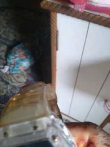 Used Ghadi
