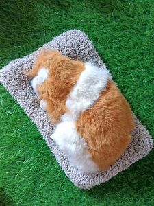 Mixed Plush softToy Bundle pack of 9