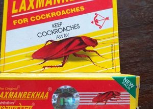 Laxmanrekha Chalk