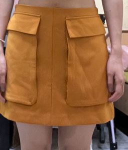 Forever 21 Mini Skirt