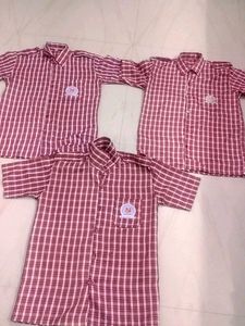 School Shirts Combo