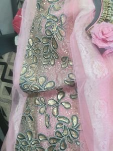 Elegant Lehenga Choli