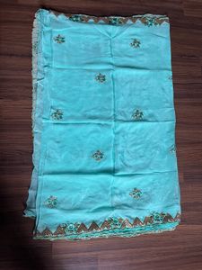 Sea Green Saree With Blouse