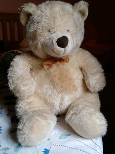 CuteTeddy Bear