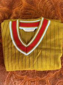 Dressberry Sweater