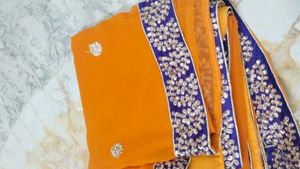 Beautiful saree..small border.1 time used..30min