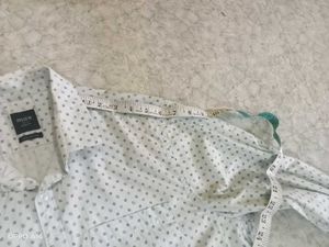 Shirt 👕 (Max)