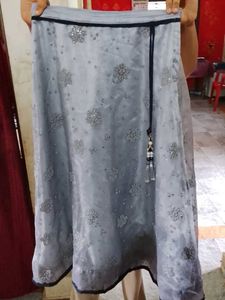 Embellished Ethnic Skirt