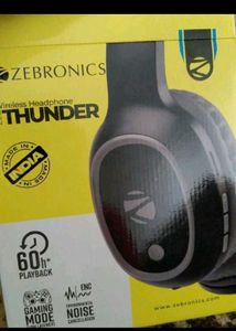 Zebronics Headphones