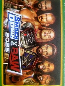 WWE Smackdown vs Raw 2025