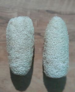 Pack Of 2 Natural Loofah