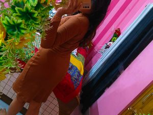 Stretchable Brown Dress