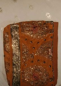 Orange Sari with Gold Details
