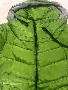 Winter Jacket