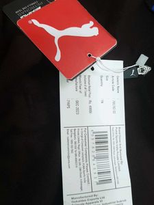 Puma Coffee Polo Shirt