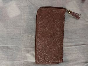 Shimmery Clutch