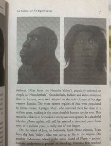 Sapiens by Yuval Noah Harari