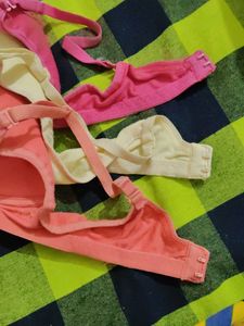 sponge cup bra