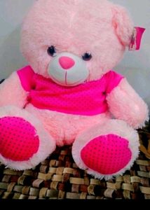 New Teddy Bear