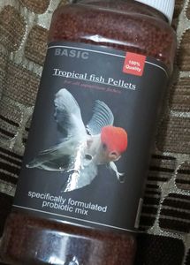 Fish Food