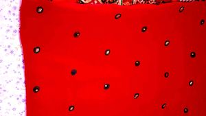 Handwork Chikenkari Red Embroidered Kurta