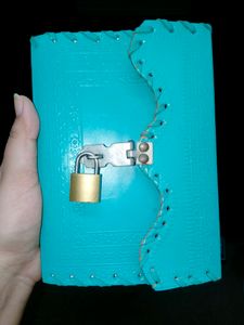 Diary ...keep your secrets to you.