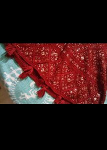 Branded Lehenga Set