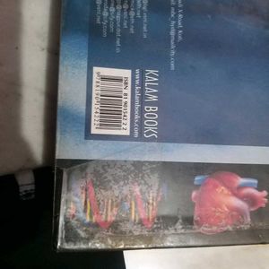 PG PLUS 2003