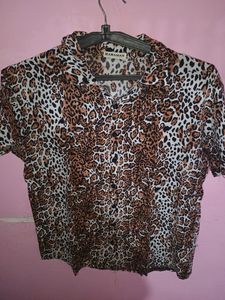 Cargo With Printed Half Shirt