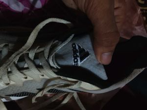 Adidas Sport Shoes