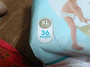 Xl Pampers Premium Care Pants