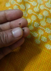 Gold Nose Pin