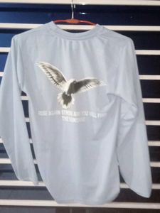 Rise Again (A one hosiery product)