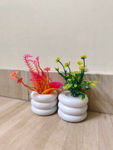 3 Inches Dry Flower Pot.