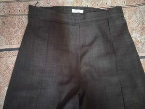 Brown  Trouser Pants