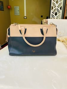 Baggit Handbag