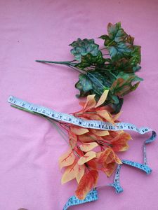 Leaf Bunches